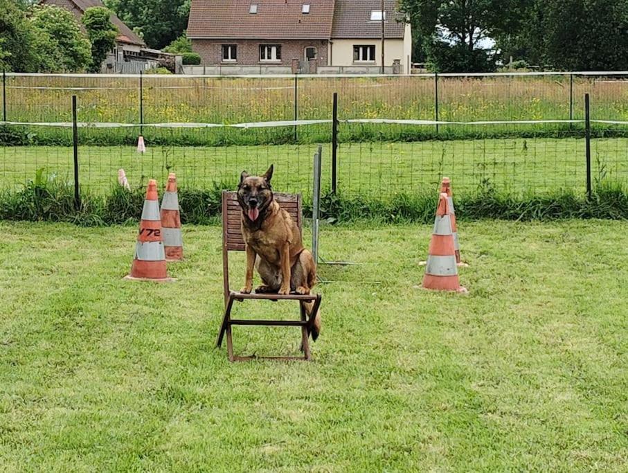 Gite Au Ptit Canin Moyenneville  Exterior photo